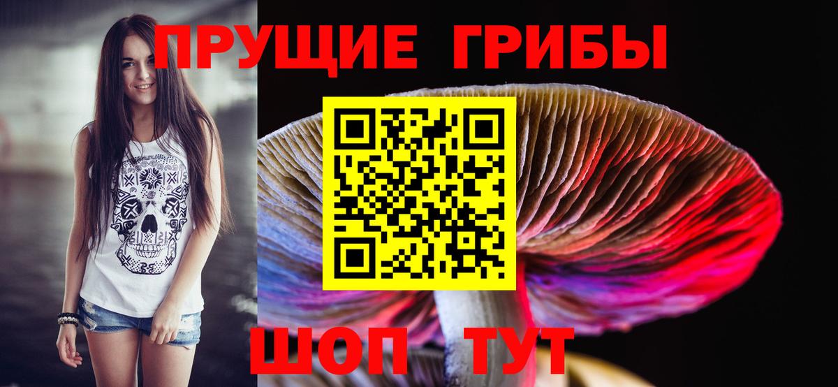 Углич  Псилоцибиновые грибы Magic Shrooms  Вход с VPN 